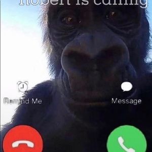 Meet your Posher, Willie